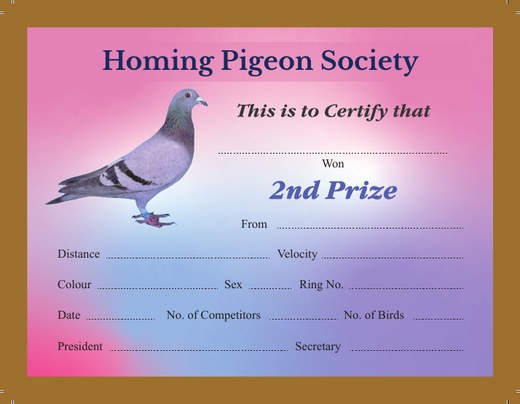 Award certificate